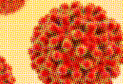 What you need to know about hep B | part 1