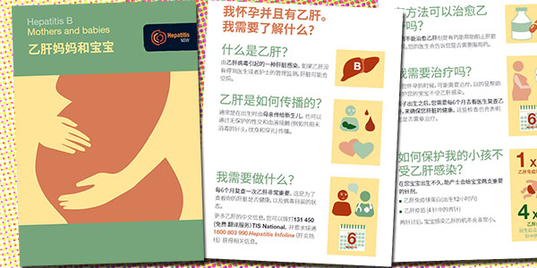 Hepatitis B Mothers and Babies now available in Mandarin