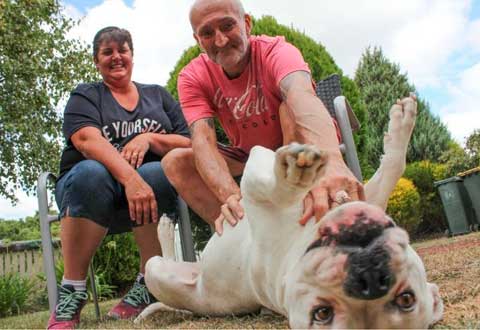 Drug saves lives of those on liver transplant list