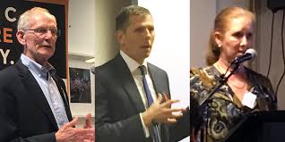 Hepatitis NSW 2020 Audrey Lamb Community Forum