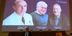 Nobel prize in medicine awarded to trio for work on hep C