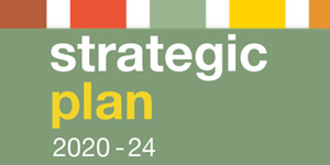 HNSW Strategic Plan Launched